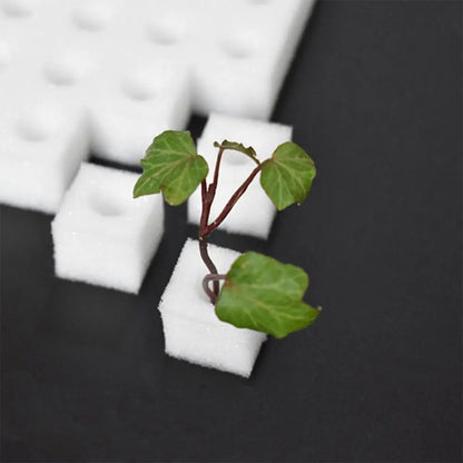 100 Hole/sheet Hydroponic Plant Sponge Garden Cultivation Seedling Soilless Culture Planting Tools Vegetables Nursery Pots Tray