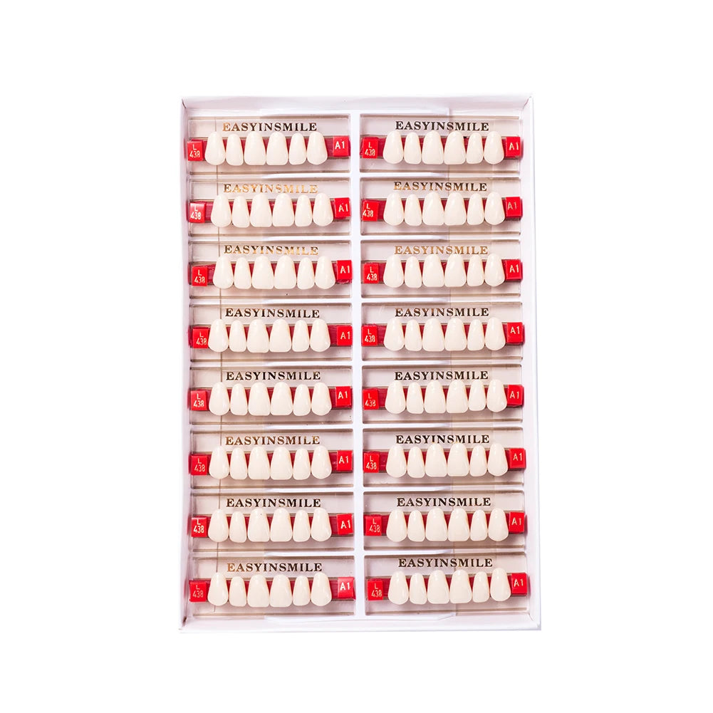 16/12 Sets/ Box Dental Teeth Anterior Posterior Polymer Denture acrylic Tooth A2 A3 2 Layers Dentistry Materials Education Model