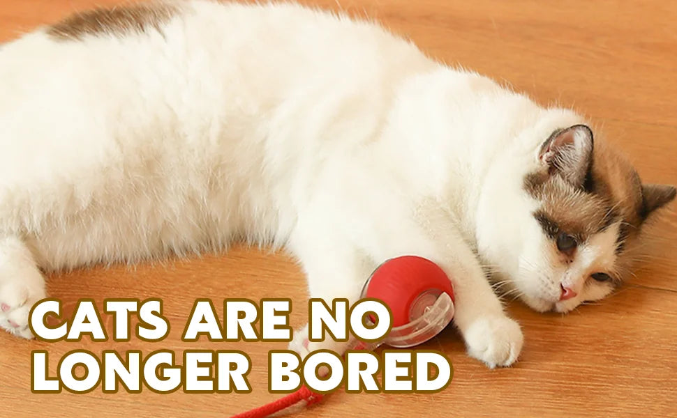 Interactive Cat Toys for Indoor Cats Rechargeable 360° Automatic Moving Cat Toy for Bored Indoor Adult Cats Motion Kitten Toys