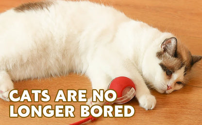 Interactive Cat Toys for Indoor Cats Rechargeable 360° Automatic Moving Cat Toy for Bored Indoor Adult Cats Motion Kitten Toys