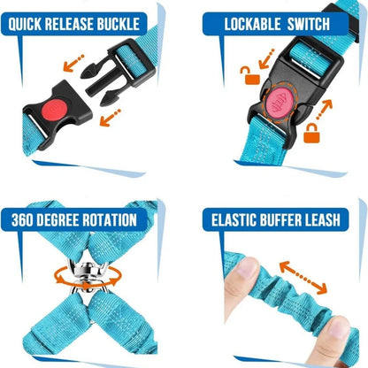 OUWO Two Dogs Pet Car Lead Leash Backseat Safety Belt Adjustable Dogs Harness Collar Pet Accessories Pet Supplies