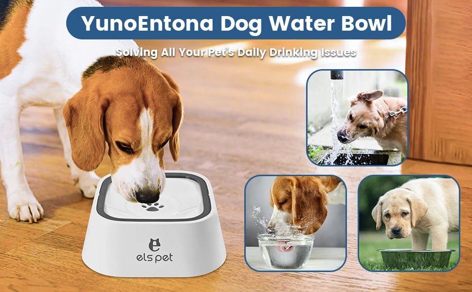 Dog Water Bowl Anti Splash No Slip Removable Design Vehicle Carried Travel Spill Proof Pet Bowls for Small Medium Dogs and Pets