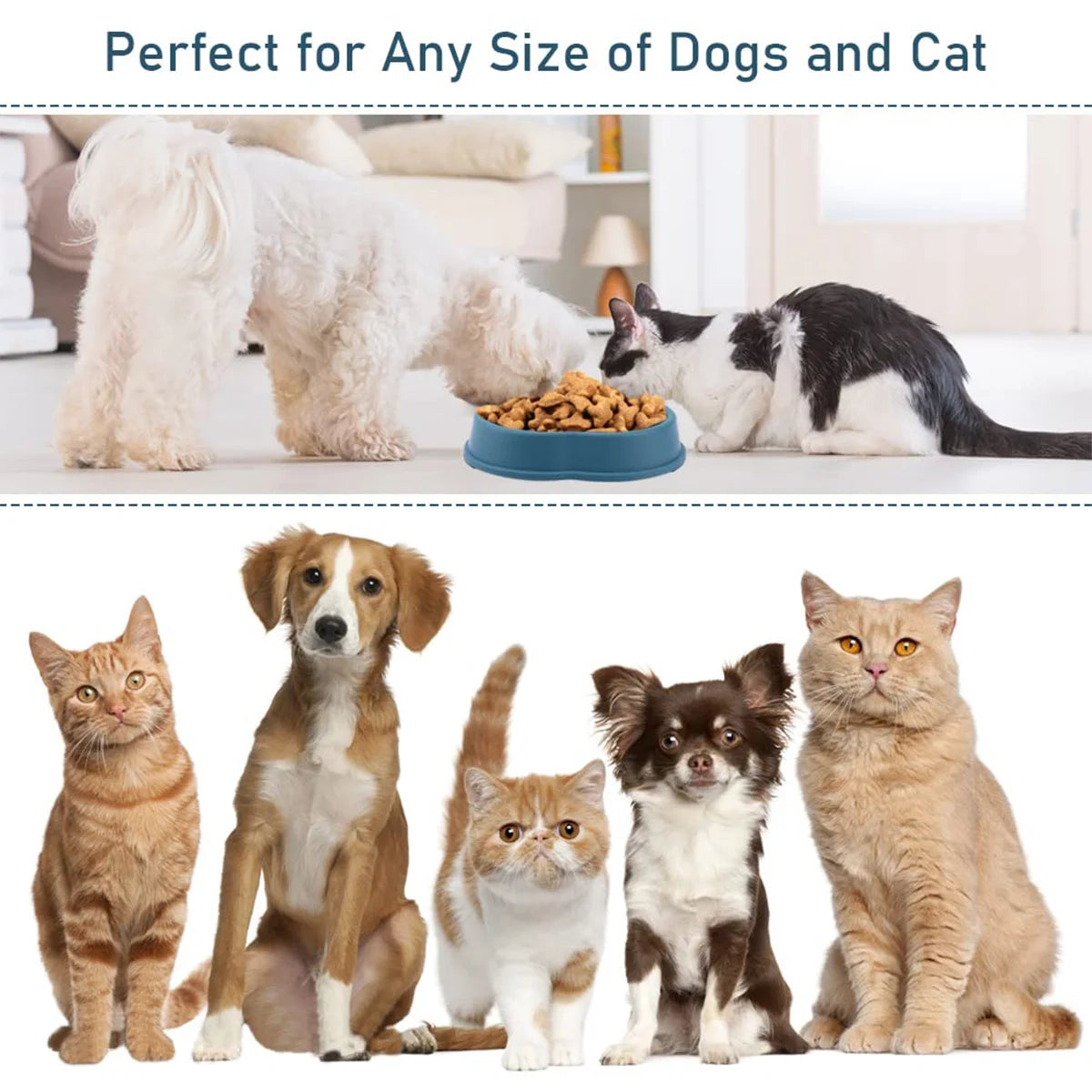 Pet Slow Feeder Bowl Durable Non-Slip Anti Choking Dog Bowl For Digestive Health & Bloat Reduction For Large Medium Small Dogs