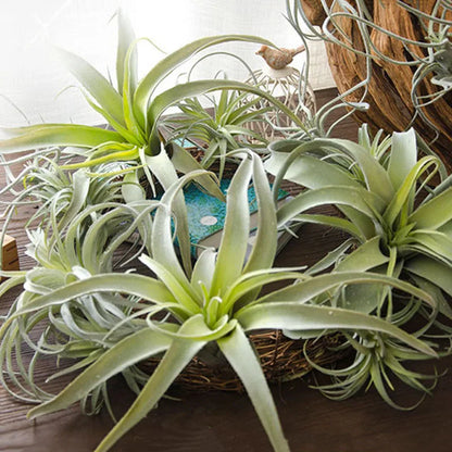 Luxury Air grass series big fake plants plastic wall hanging garden decoration plantas artificiales farmhouse home décor