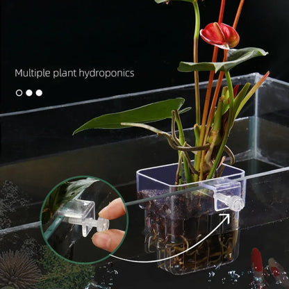 Fish Aquarium Water Grass Cup Multiple Plant Hydroponics Hydroponic Planting Basket For Fish Tank Landscape Home Garden