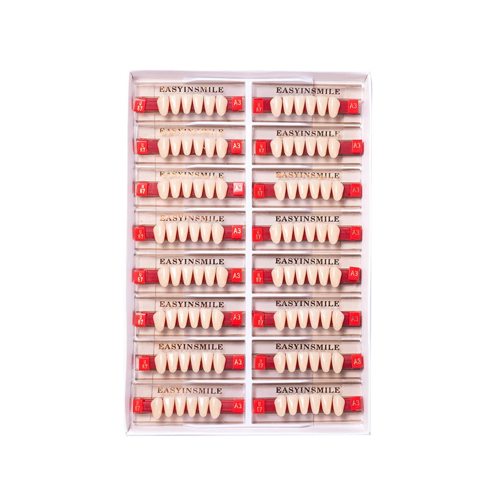 16/12 Sets/ Box Dental Teeth Anterior Posterior Polymer Denture acrylic Tooth A2 A3 2 Layers Dentistry Materials Education Model