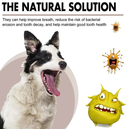 Pet Oral Care Spray Teeth Cleanse Tartar Removal Dental Care Deodorization Remove Bad Breath Freshener Dog Mouth Cleaning Liquid