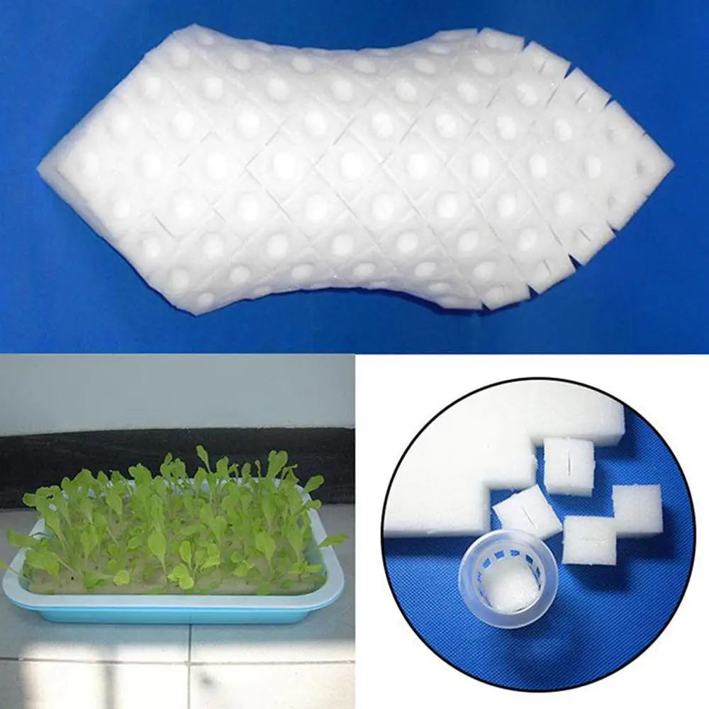 100 Hole/sheet Hydroponic Plant Sponge Garden Cultivation Seedling Soilless Culture Planting Tools Vegetables Nursery Pots Tray