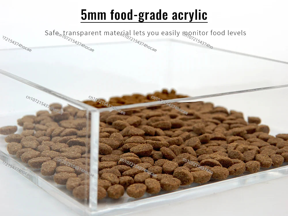 Smart Automatic Pet Feeder With RFID Sensor, Elevated Base, and 650ml Capacity for Wet & Dry Food