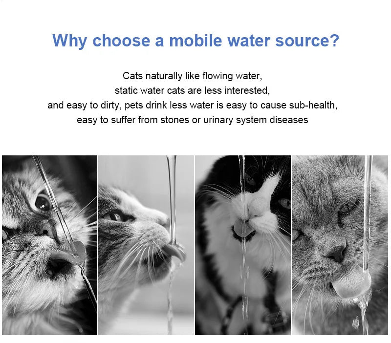 Stainless Steel Pet Water Feeder Cat Automatic Water Fountain USB Electric Mute for Cat Dog Filter Fountain Smart Drinking Bowl