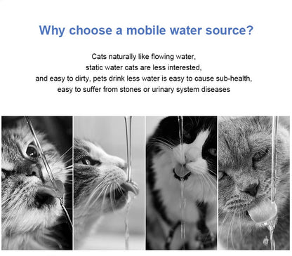 Stainless Steel Pet Water Feeder Cat Automatic Water Fountain USB Electric Mute for Cat Dog Filter Fountain Smart Drinking Bowl