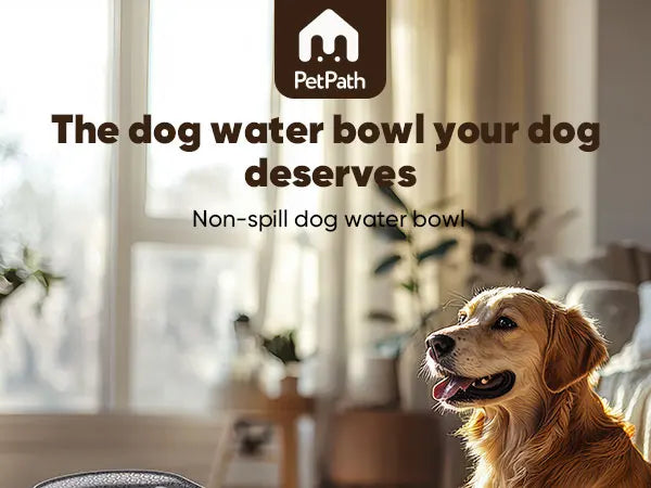 PETPATH No Spill Dog Water Bowl 2.2L (75oz) Large Capacity Anti-Splash Design – Reduces Refill Frequency for All Dogs