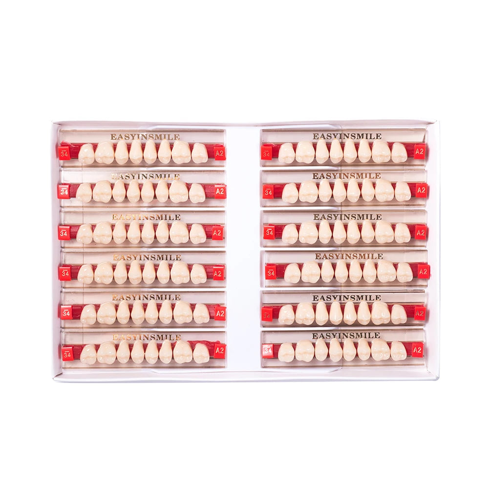16/12 Sets/ Box Dental Teeth Anterior Posterior Polymer Denture acrylic Tooth A2 A3 2 Layers Dentistry Materials Education Model