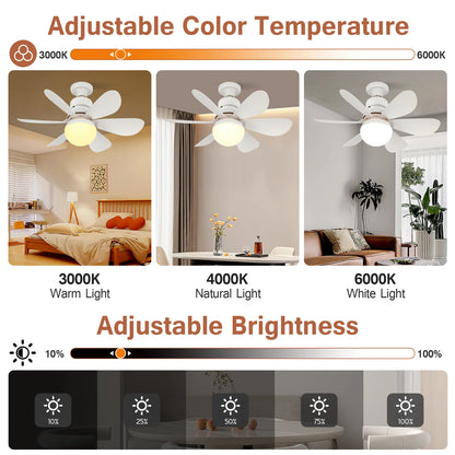 Home E27 Base Ceiling Fan Light with 30W LED Night Lights 3 Adjustable Lighting Modes Remote Control High Wind Power Ceiling Fan