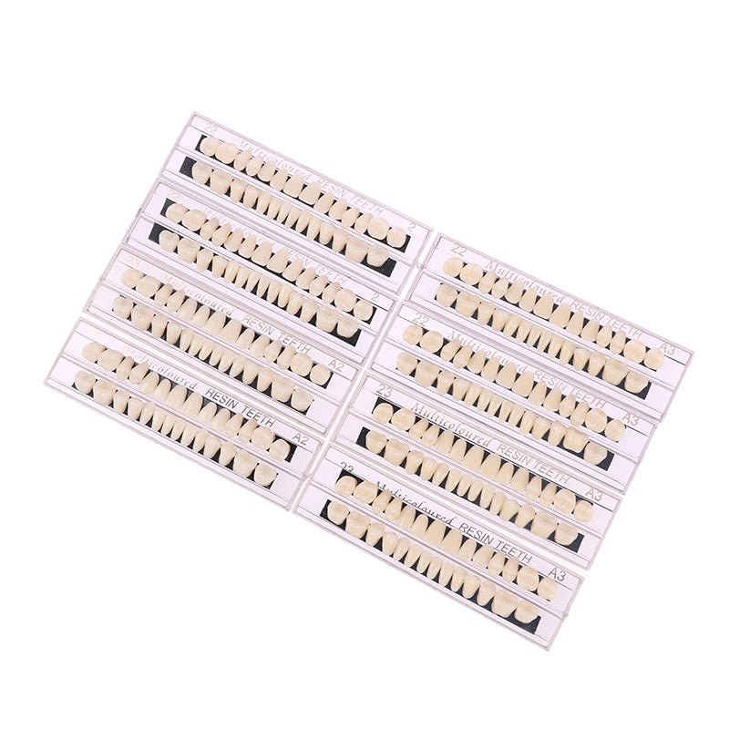 Dental Material Teeth Teaching Model Dedicated Teeth Dental Material Teeth Care Tool Dental Oral Material