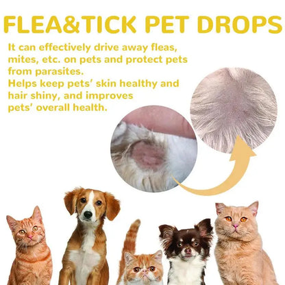 1ml Pet External Drops Tick Spray Fast-Acting Lice Remove Anti Flea Drops Tick Liquid Long Lasting Natural Pet Care Spray