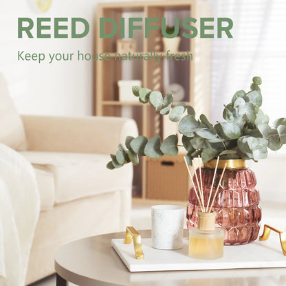 PHATOIL Natural Plant Essential Oil 10ml Eucalyptus Rose Lemon Bergamot Vanilla Peppermint 1PCS Aroma Essential Oil For Diffuser