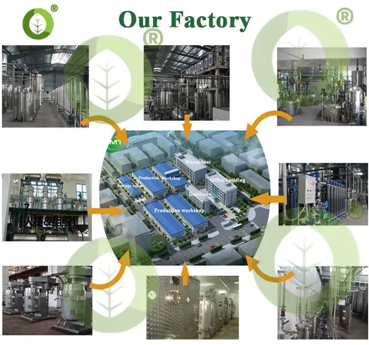 50g-1000g 99% Hyaluronic Acid Serum Powder Ha,high Molecular Weight Sodium, Moisturizing Whitening Skin,anti-aging,free Shipping