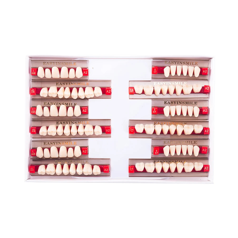 16/12 Sets/ Box Dental Teeth Anterior Posterior Polymer Denture acrylic Tooth A2 A3 2 Layers Dentistry Materials Education Model