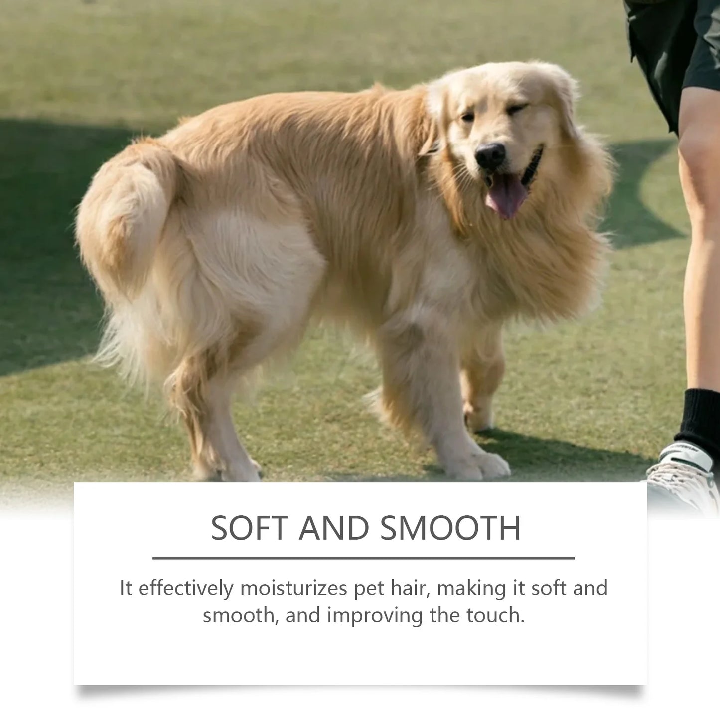 Deodorizing Dog Spray Odor Removal Natural Deodorizer Long Lasting Cologne Fragrance for Dogs Cats Odor Control Cleaning Product