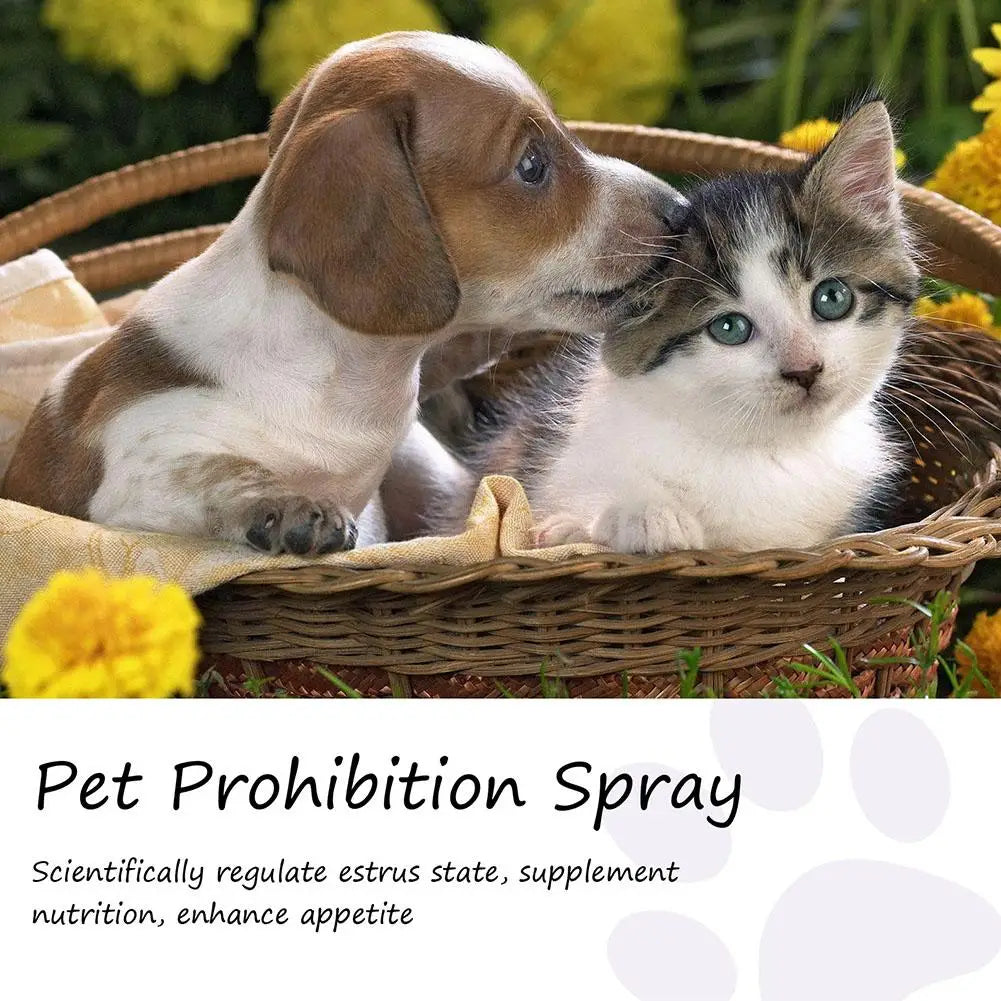 Pet Calming Spray Pet Supplies Pets Pheromone Calming Spray Improve Estrus Agitation Pet Anxiety Relief Spray Cat Dog Health