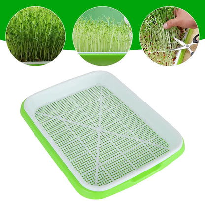 Microgreens Sprouter Tray Hydroponic / Sprouting Tray For Sprout Horticultural Hydroponic Systems Tray Garden Nursery Potted