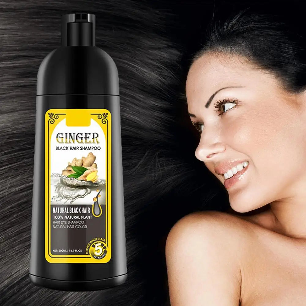 500ml Herbal Hair Dye Black Hair Shampoo Black Hair Color Shampoo Black Hair Dye Covering White Hair Shampoo ginger Shampoo