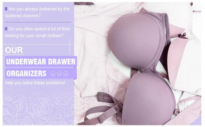 Closet Organizer Underwear Organizer For Wardrobe Clothes Organizers Cabinets Drawer Organizers Bra Socks Storage Organizer Box