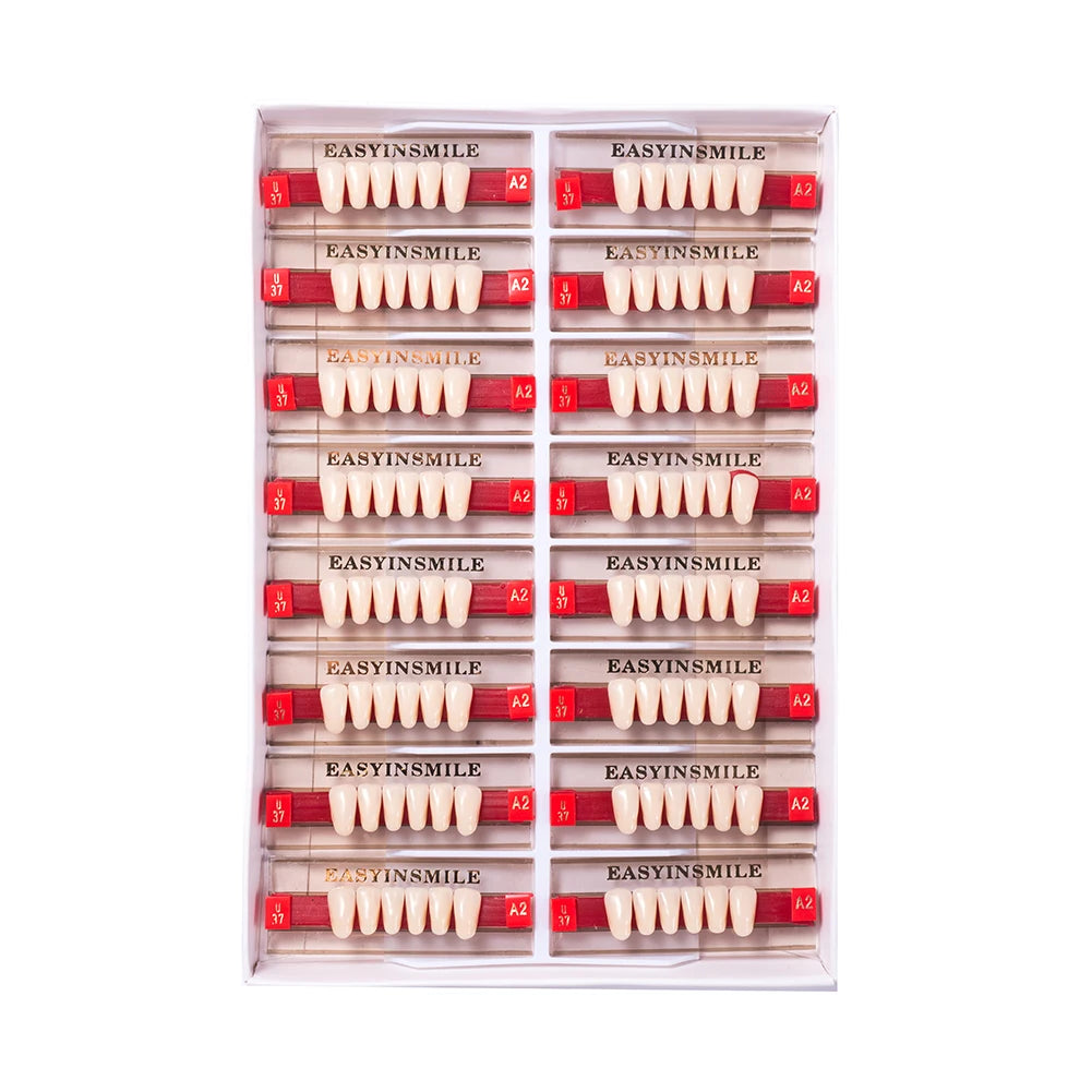 16/12 Sets/ Box Dental Teeth Anterior Posterior Polymer Denture acrylic Tooth A2 A3 2 Layers Dentistry Materials Education Model