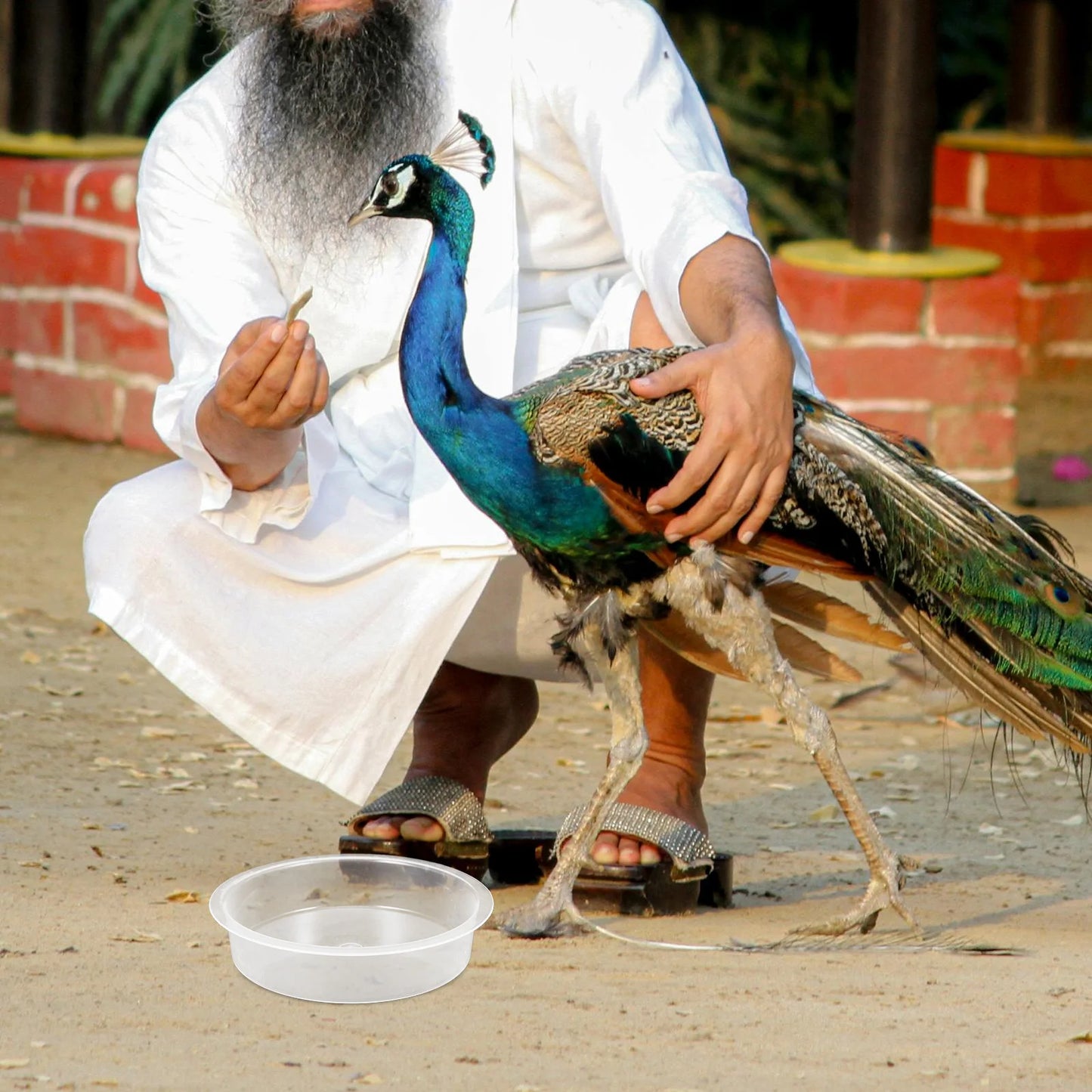 2 Pcs Bird Feeder Water Tray Feeding Bowls Dish for Birds Outdoor Cage Pp Trays & Watering Supplies Round Birdbath Hummingbird