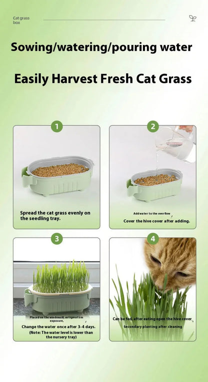 Hydroponic Natural Cat Grass Growing Kit-Organic Wheat Grass Seeds For Digestive Health & Hairball Control,With Potting Soil Set