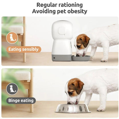 3.5L Automatic Pet Feeder Smart Swirl Slow Dog Feeder With WIFI Voice Recorder Large Capacity Timing Cat Food Dispenser Dog Bowl