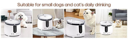 Cat Water Fountain Auto Filter Wireless Smart Pet Cat Drinker Bowl 2L Recirculate Filtring Drinker for Cats pet Water Dispenser