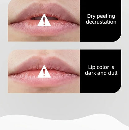 BEAUTY GLAZED Nourishing Lip Balm with Plant Squalane and Amino Acids, Natural Oil-Based, Long-Lasting Moisture Plant Squalane