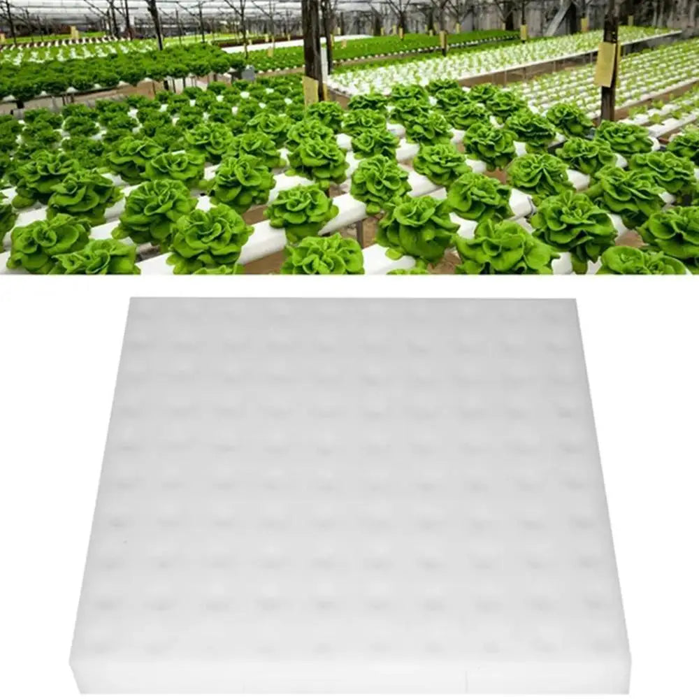100 Hole/sheet Hydroponic Plant Sponge Garden Cultivation Seedling Soilless Culture Planting Tools Vegetables Nursery Pots Tray