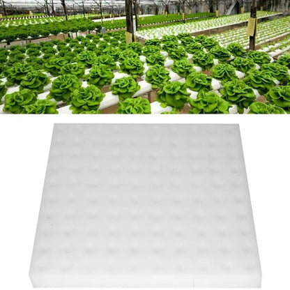 100 Hole/sheet Hydroponic Plant Sponge Garden Cultivation Seedling Soilless Culture Planting Tools Vegetables Nursery Pots Tray