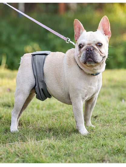 Washable Male Dog Diaper Reusable Pet Physiological Sanitary Pants Nappy Belly Band Wrap Hight Absorbent Leak Proof Diapers