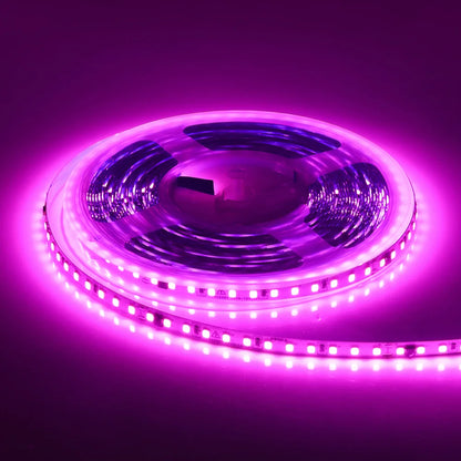 5m 10m 20m 50m LED Strip Light AC 220V 230V 240V IP55 2835 120 LEDs Flexible Ribbon Rope Lights Tape 9 Colors Home Decoration