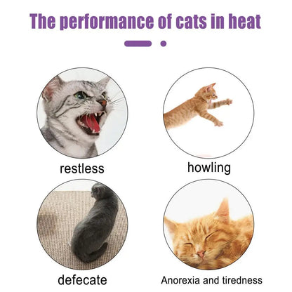 Pet Estrus Calming Spray Safe Healthy Calming Diffuser Cat Anti Anxiety Liquid Prevent Howling Soothe Mood For Calming Emotions