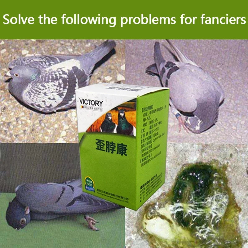 Probiotic Nutritional Supplements for Prevention and Treatment of Crooked Necks and Heads of Pigeons