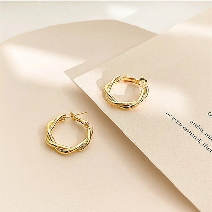 Needle Korean Twist Ear Ring Simple Earrings OL Commuter Exquisite Elegant Earrings All-match Earrings