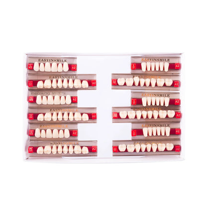 16/12 Sets/ Box Dental Teeth Anterior Posterior Polymer Denture acrylic Tooth A2 A3 2 Layers Dentistry Materials Education Model