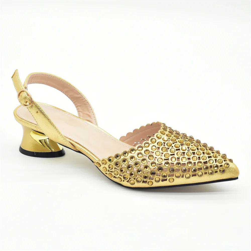 Nigeria Shoe and Bag Wedding Shoes Bride Nigerian Ladies Wedding Shoes Luxury Italian Style Heels African Women Party Pumps