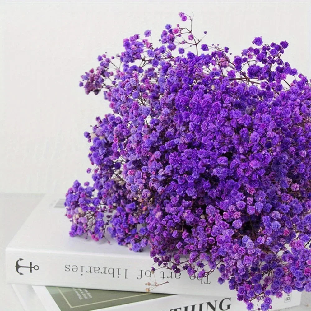 130g Natural Dried Preserved Flowers Babys Breath Home Decoration Natrual Gypsophila Wedding Decor Artificial Flower Photo Props