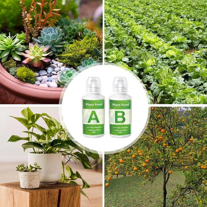 100ml Fertilizer A and B Hydroponic Garden Plant Food Plant Fertilizer For Flowers Vegetables Grass Nutrients Garden Plant Using