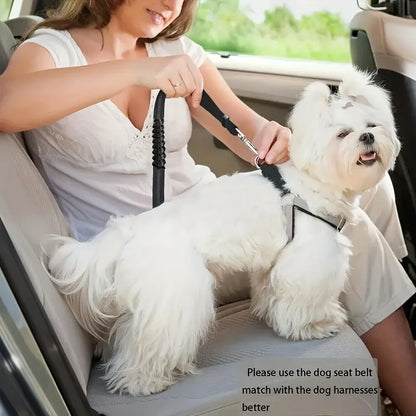 Dog Seat Belt Pet Car Tether Safety Leash For Dogs In Vehicles Dog Seat Belt Seat Belt Buckle Dog Car Seat Belt