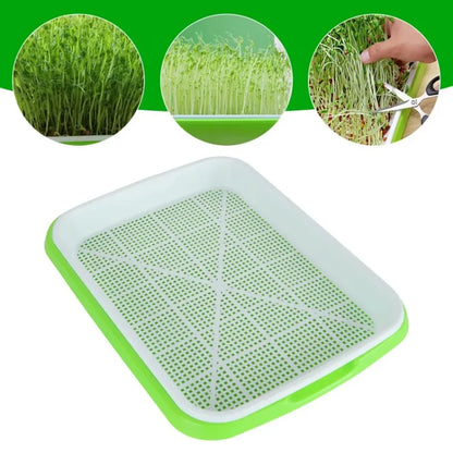 Microgreens Sprouter Tray Hydroponic / Sprouting Tray For Sprout Horticultural Hydroponic Systems Tray Garden Nursery Potted