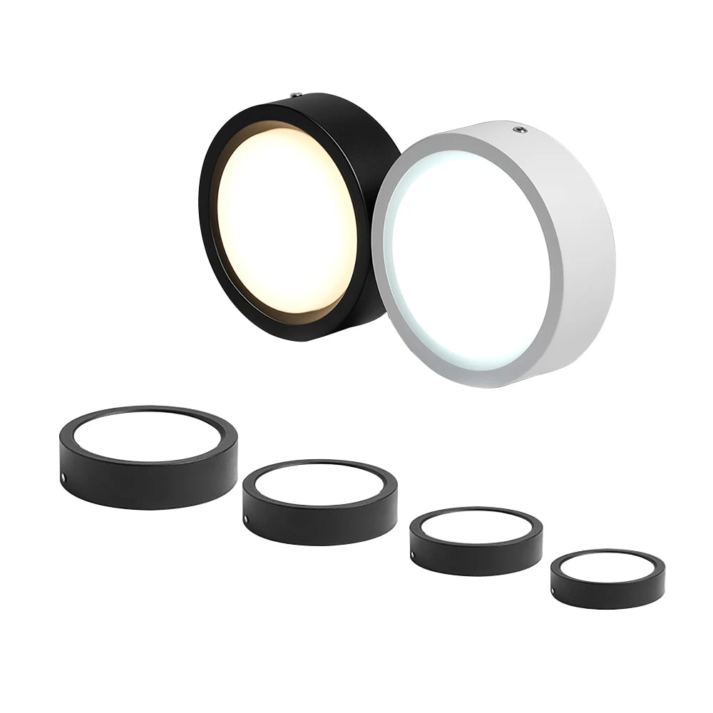 LED Ceiling Light 5W 10W 15W 18W 24W Surface Mounted Downlight Ceiling Lamp for Living Room Kitchen 220V Spotlight Panel Lights