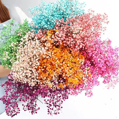 130g Natural Dried Preserved Flowers Babys Breath Home Decoration Natrual Gypsophila Wedding Decor Artificial Flower Photo Props