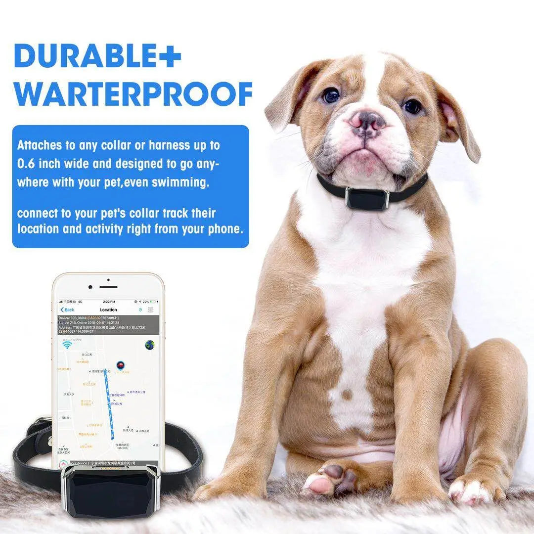 GPS Trackers IP67 Waterproof Pet Collar GSM AGPS Wifi LBS Mini for Pets Dogs Cats Sheep Cattle Tracking Locator GPS Accessories